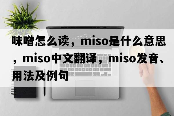 味噌怎么讀，miso是什么意思，miso中文翻譯，miso發(fā)音、用法及例句