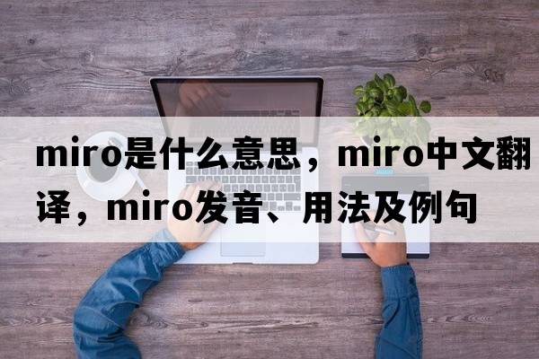 Miro是什么意思，Miro中文翻譯，Miro發(fā)音、用法及例句