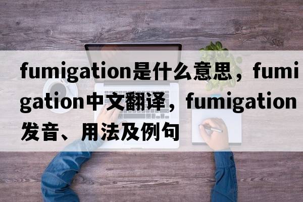 fumigation是什么意思，fumigation中文翻譯，fumigation發(fā)音、用法及例句