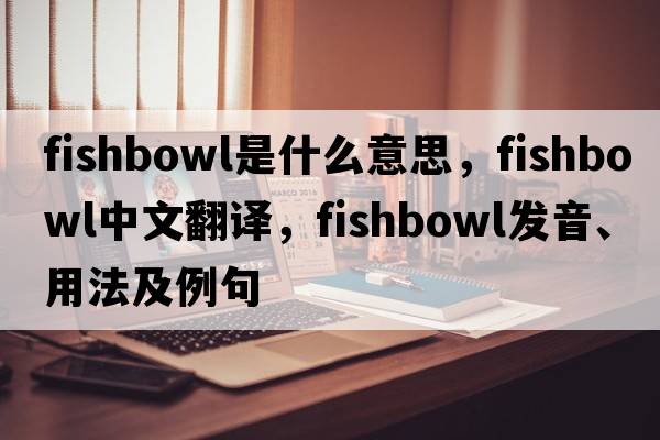 fishbowl是什么意思，fishbowl中文翻譯，fishbowl發(fā)音、用法及例句