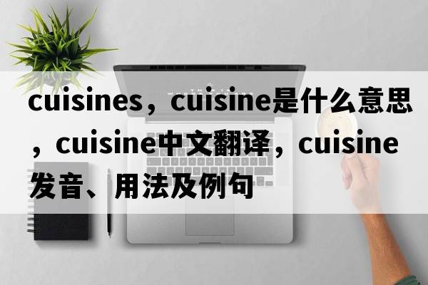 cuisines，cuisine是什么意思，cuisine中文翻譯，cuisine發(fā)音、用法及例句
