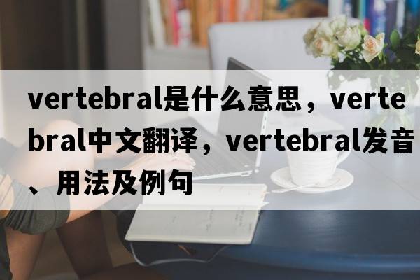 vertebral是什么意思，vertebral中文翻譯，vertebral發(fā)音、用法及例句