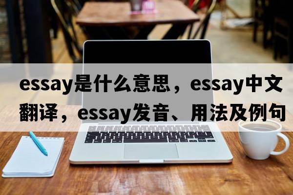 essay是什么意思，essay中文翻譯，essay發(fā)音、用法及例句
