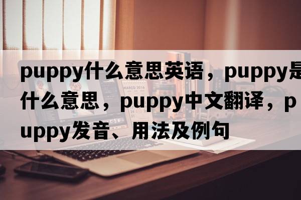 puppy什么意思英語(yǔ)，puppy是什么意思，puppy中文翻譯，puppy發(fā)音、用法及例句