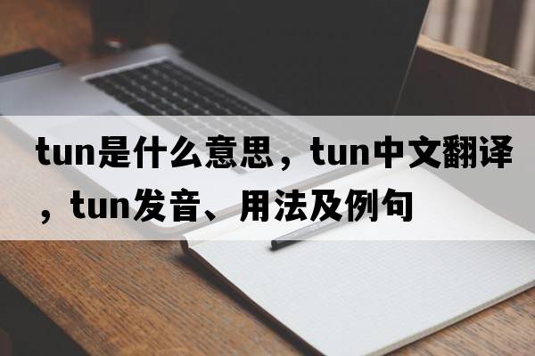 tun是什么意思，tun中文翻譯，tun發(fā)音、用法及例句