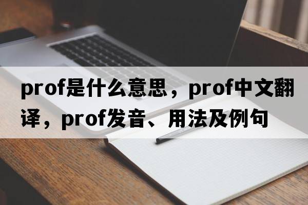 Prof是什么意思，Prof中文翻譯，Prof發(fā)音、用法及例句