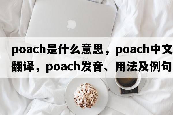 poach是什么意思，poach中文翻譯，poach發(fā)音、用法及例句
