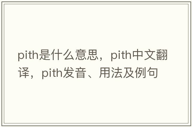 pith是什么意思，pith中文翻譯，pith發(fā)音、用法及例句