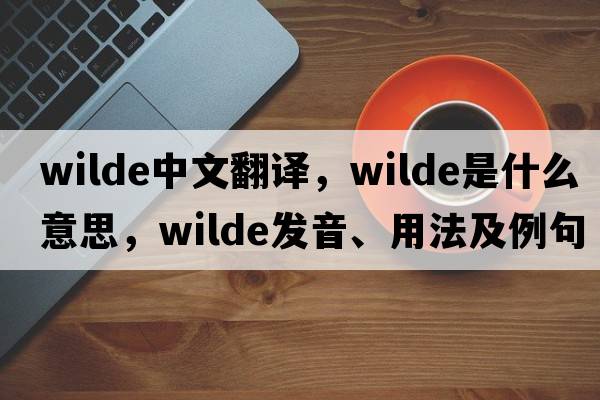wilde中文翻譯，wilde是什么意思，wilde發(fā)音、用法及例句