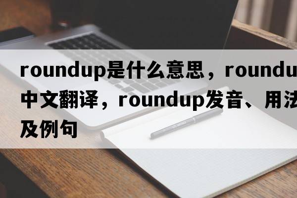 roundup是什么意思，roundup中文翻譯，roundup發(fā)音、用法及例句