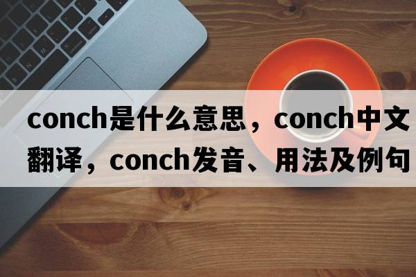conch是什么意思，conch中文翻譯，conch發(fā)音、用法及例句