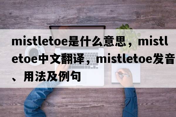 mistletoe是什么意思，mistletoe中文翻譯，mistletoe發(fā)音、用法及例句