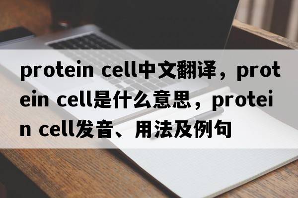 protein cell中文翻譯，protein cell是什么意思，protein cell發(fā)音、用法及例句