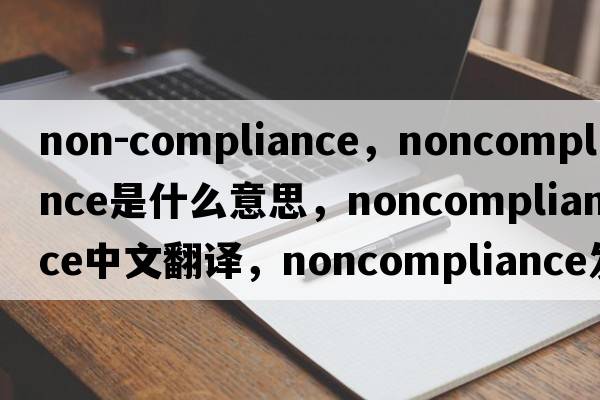non-compliance，noncompliance是什么意思，noncompliance中文翻譯，noncompliance發(fā)音、用法及例句