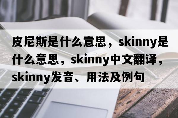 皮尼斯是什么意思，skinny是什么意思，skinny中文翻譯，skinny發(fā)音、用法及例句