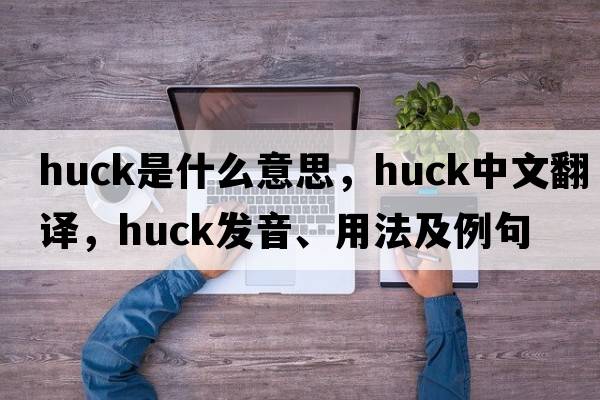 huck是什么意思，huck中文翻譯，huck發(fā)音、用法及例句
