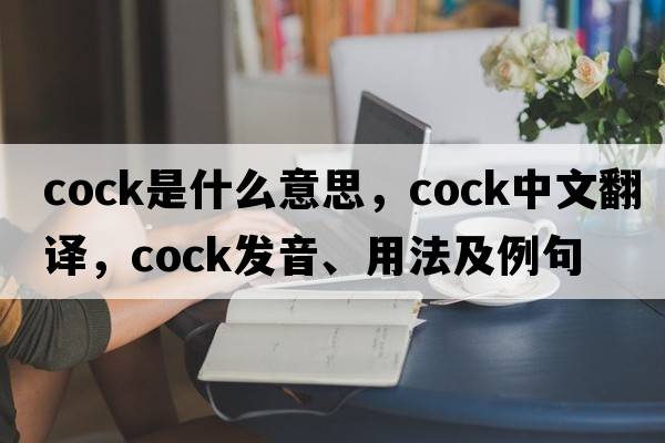 cock是什么意思，cock中文翻譯，cock發(fā)音、用法及例句