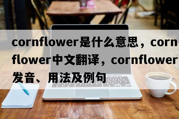 cornflower是什么意思，cornflower中文翻譯，cornflower發(fā)音、用法及例句