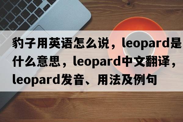 豹子用英語(yǔ)怎么說(shuō)，leopard是什么意思，leopard中文翻譯，leopard發(fā)音、用法及例句