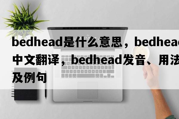 bedhead是什么意思，bedhead中文翻譯，bedhead發(fā)音、用法及例句