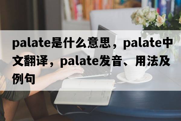 palate是什么意思，palate中文翻譯，palate發(fā)音、用法及例句