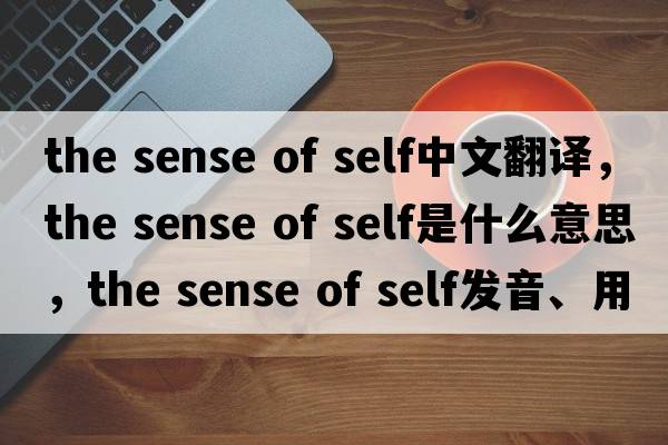 the sense of self中文翻譯，the sense of self是什么意思，the sense of self發(fā)音、用法及例句