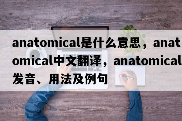 anatomical是什么意思，anatomical中文翻譯，anatomical發(fā)音、用法及例句