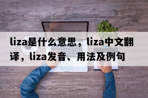 LIZA是什么意思，LIZA中文翻譯，LIZA發(fā)音、用法及例句