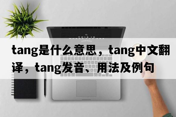 tang是什么意思，tang中文翻譯，tang發(fā)音、用法及例句
