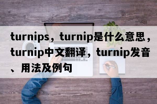 turnips，turnip是什么意思，turnip中文翻譯，turnip發(fā)音、用法及例句