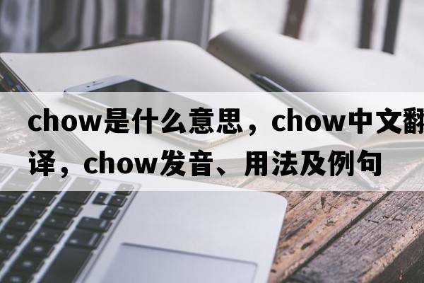 chow是什么意思，chow中文翻譯，chow發(fā)音、用法及例句