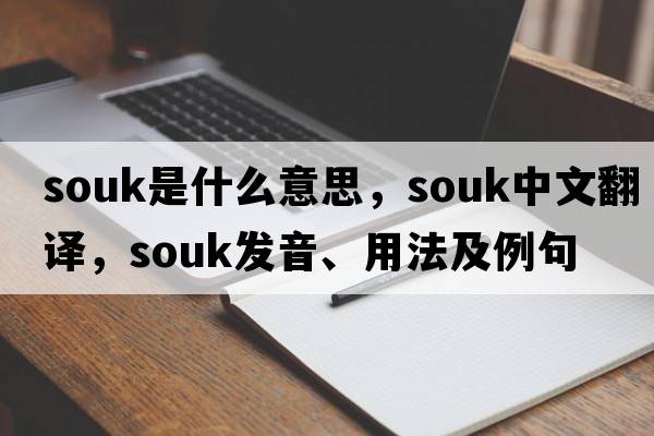 souk是什么意思，souk中文翻譯，souk發(fā)音、用法及例句