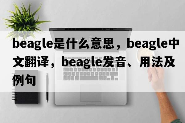 beagle是什么意思，beagle中文翻譯，beagle發(fā)音、用法及例句