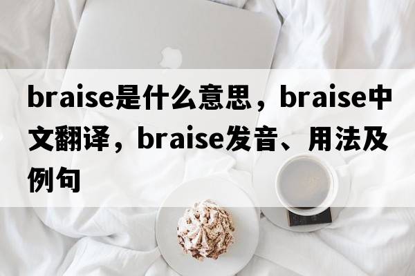 braise是什么意思，braise中文翻譯，braise發(fā)音、用法及例句