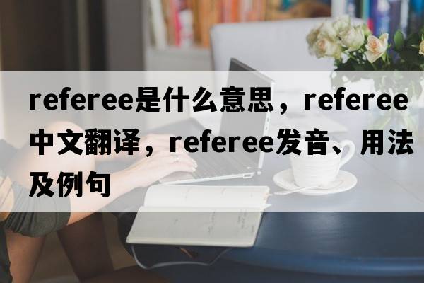 referee是什么意思，referee中文翻譯，referee發(fā)音、用法及例句