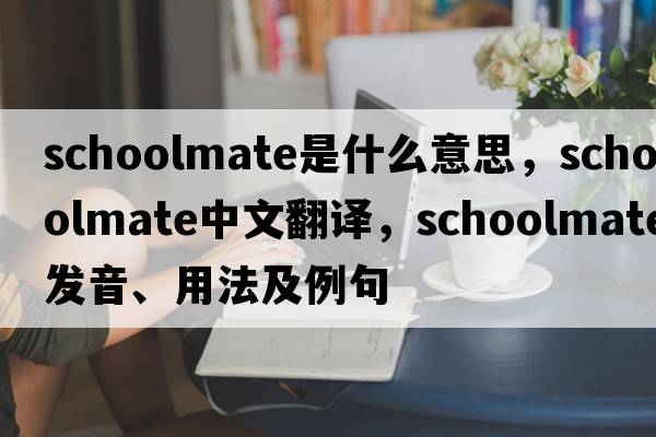 schoolmate是什么意思，schoolmate中文翻譯，schoolmate發(fā)音、用法及例句