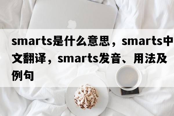 smarts是什么意思，smarts中文翻譯，smarts發(fā)音、用法及例句