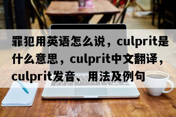 罪犯用英語(yǔ)怎么說(shuō)，culprit是什么意思，culprit中文翻譯，culprit發(fā)音、用法及例句