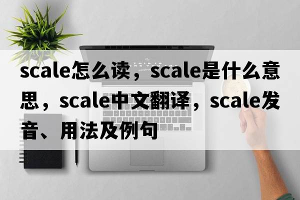scale怎么讀，scale是什么意思，scale中文翻譯，scale發(fā)音、用法及例句