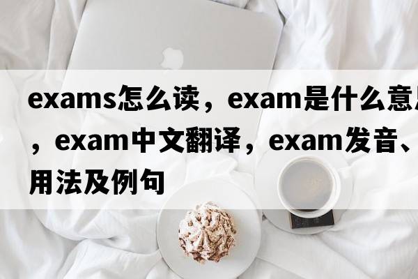 exams怎么讀，exam是什么意思，exam中文翻譯，exam發(fā)音、用法及例句