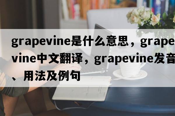 grapevine是什么意思，grapevine中文翻譯，grapevine發(fā)音、用法及例句