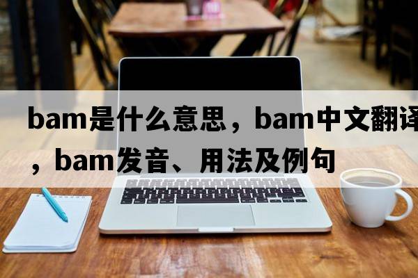 bam是什么意思，bam中文翻譯，bam發(fā)音、用法及例句