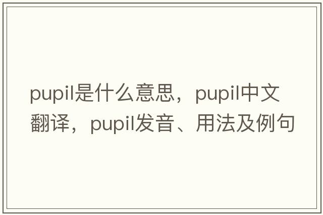 pupil是什么意思，pupil中文翻譯，pupil發(fā)音、用法及例句