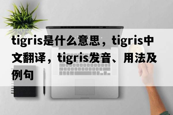 tigris是什么意思，tigris中文翻譯，tigris發(fā)音、用法及例句