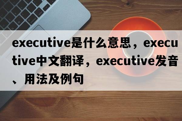executive是什么意思，executive中文翻譯，executive發(fā)音、用法及例句