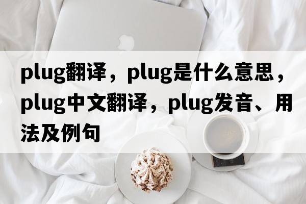 plug翻譯，plug是什么意思，plug中文翻譯，plug發(fā)音、用法及例句