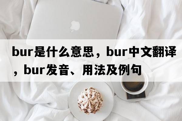 bur是什么意思，bur中文翻譯，bur發(fā)音、用法及例句