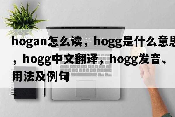 hogan怎么讀，Hogg是什么意思，Hogg中文翻譯，Hogg發(fā)音、用法及例句