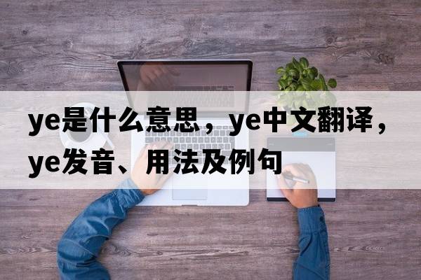 ye是什么意思，ye中文翻譯，ye發(fā)音、用法及例句