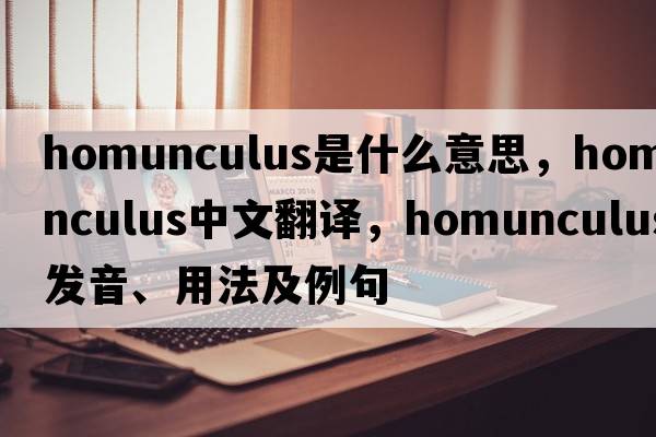 homunculus是什么意思，homunculus中文翻譯，homunculus發(fā)音、用法及例句